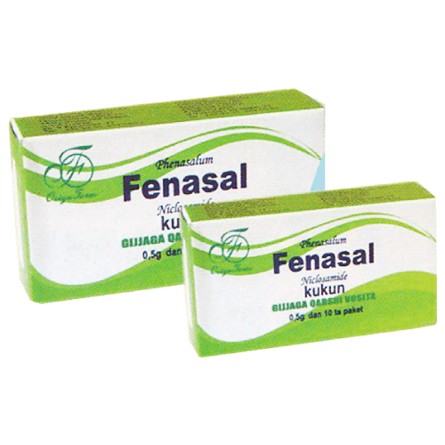 FENASAL poroshok 0,5g N10