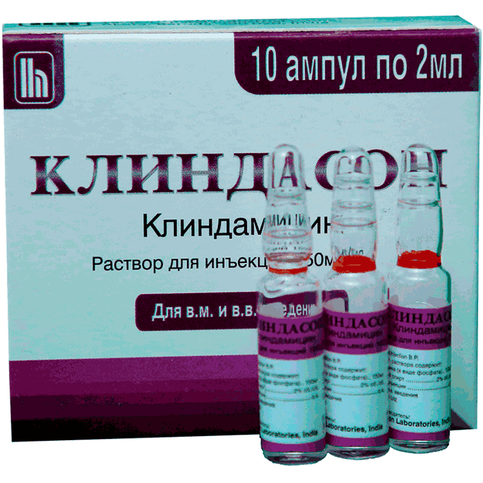 KLINDASON inyeksiya uchun eritma 2ml 150mg/ml N10