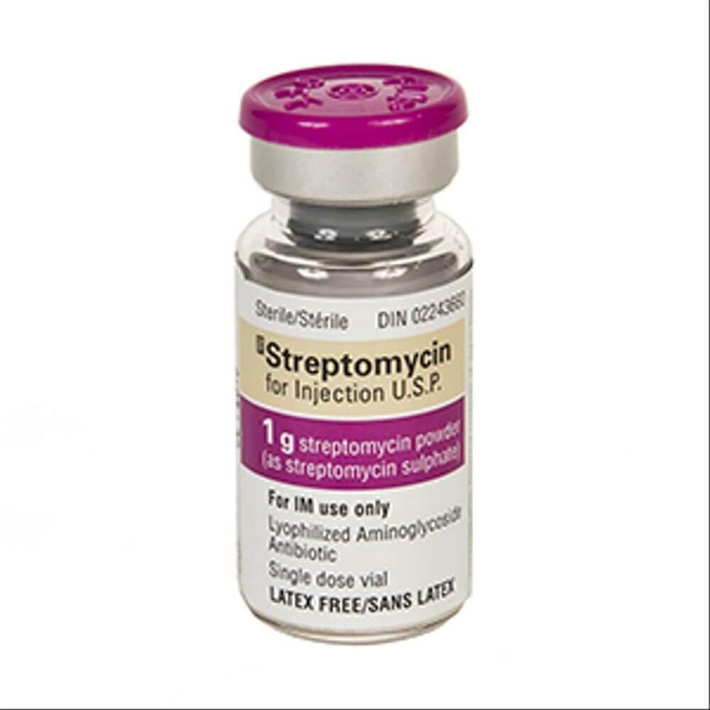 STREPTOMISIN poroshok 1g N1