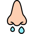 Allergies