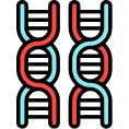 Decoding analyzes