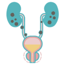 Stones in the kidneys